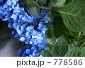 778586