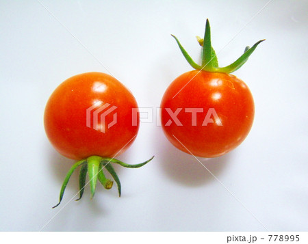 かわいいミニトマトー5 かわいいミニトマトー5 778995