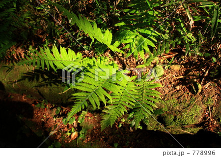 今週のスポッ・・・トライト！ 778996