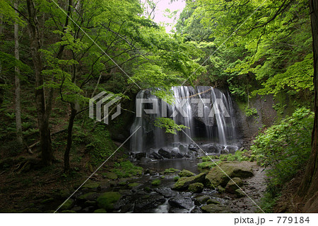 新緑の達沢不動滝 新緑の達沢不動滝 779184