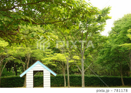 公園のツリーハウス 公園のツリーハウス 781178
