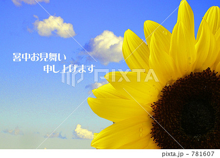 ひまわり 781607