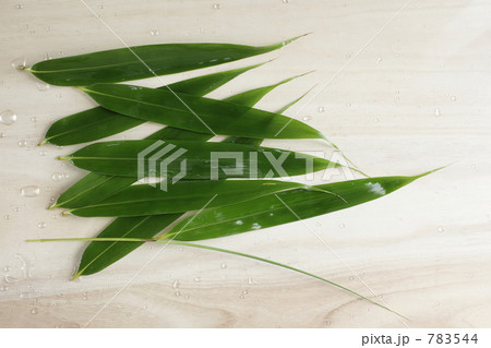 並べた笹の葉 783544