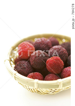 ヤマモモ ヤマモモ 784278