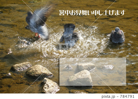水浴び 784791
