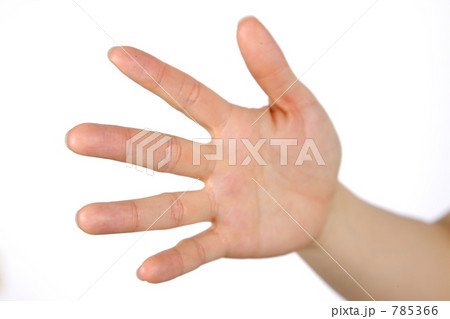 手のひら 785366
