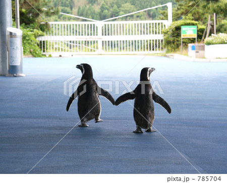 仲良く行進 785704