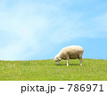 羊 786971