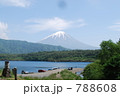 富士山と精進湖 788608