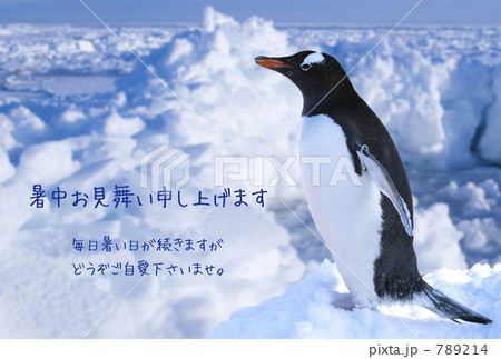 暑中見舞い（ペンギン） 789214