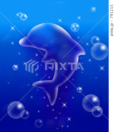 イルカ イルカ 791215