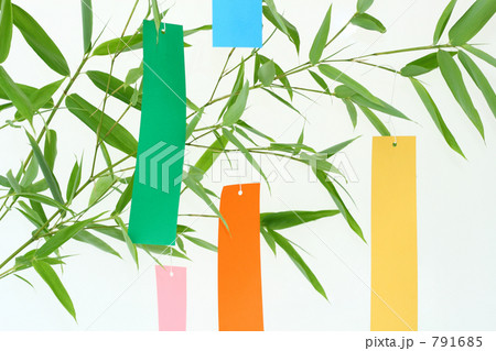 七夕 笹の葉と短冊 七夕 笹の葉と短冊 791685