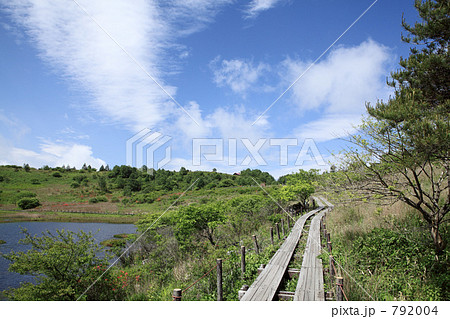 青空と八島ヶ原湿原 792004