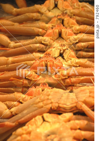 ズワイガニ 792460