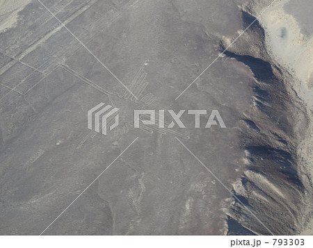 ナスカの地上絵　ハチドリ 793303