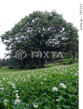 795281