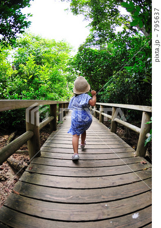 船に乗り遅れちゃう！　西表島 795637