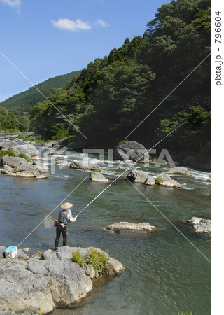 東京御岳渓谷鮎釣り 796604