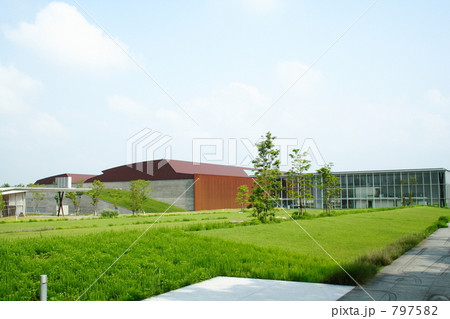 島根県立古代出雲歴史博物館 島根県立古代出雲歴史博物館 797582