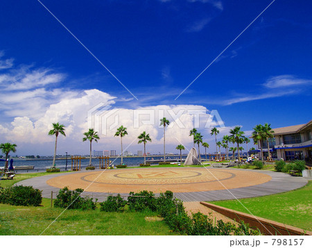 浜名湖新居海釣り公園へリポートの夏 798157