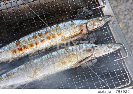 BBQのサンマ 798926