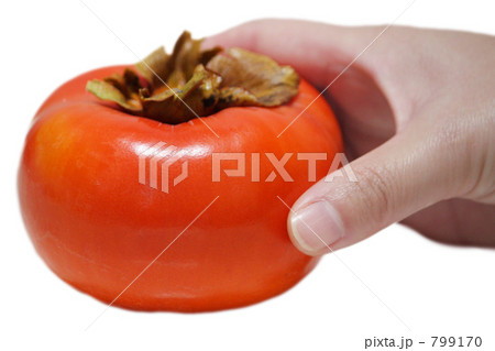 柿と手 横から 白バック の写真素材