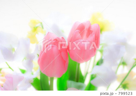 チューリップとスイトピーの花束 799523