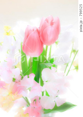 チューリップとスイトピーの花束 チューリップとスイトピーの花束 799525