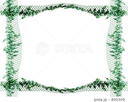 IVY FRAME. Ⅱ 800309