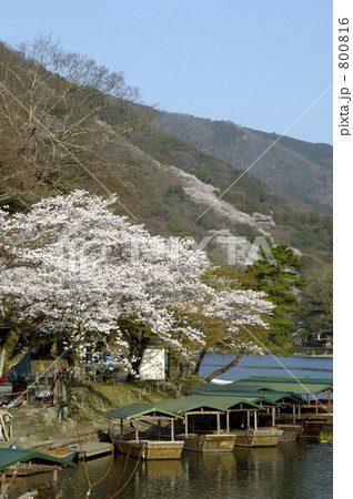 嵐山 800816