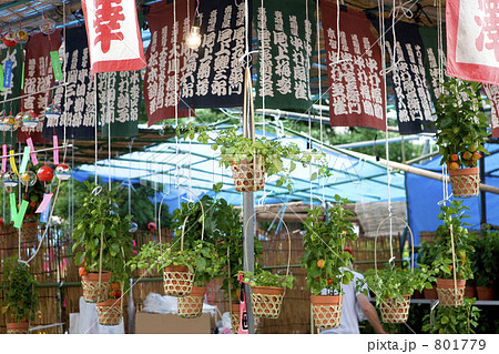 ほおずき市の屋台 801779