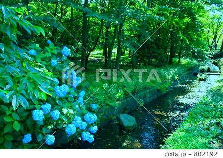 むさし緑園都市 松風公園 むさし緑園都市 松風公園 802192