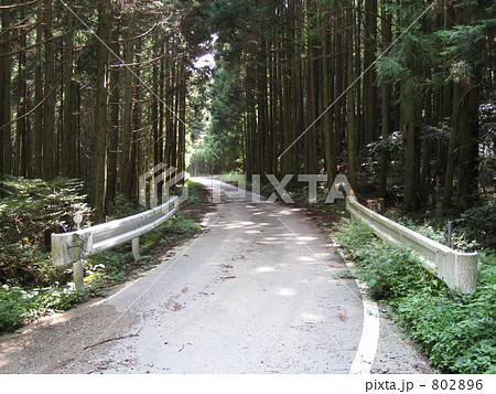 雁峰林道 雁峰林道 802896