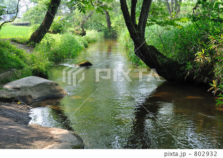遠野散歩・カッパ淵 802932