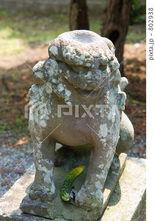 遠野散歩・常堅寺　カッパ狛犬 802938