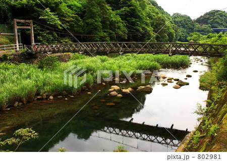 吊り橋 802981