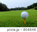 ゴルフボール 804646