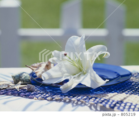 カサブランカ 805219