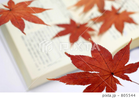 紅葉のしおり 805544