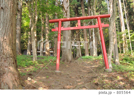 遠野散歩・諏訪神社 805564