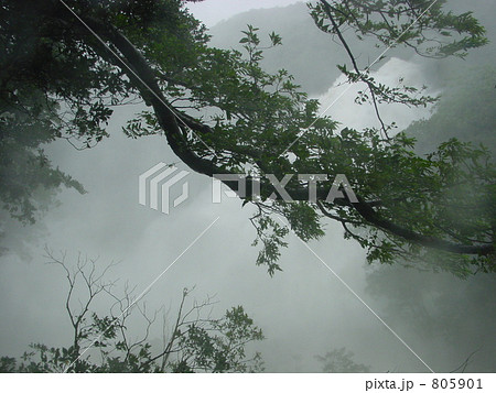 屋久島　大川の滝　台風５号遭遇 805901