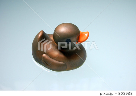 金のアヒル 805938