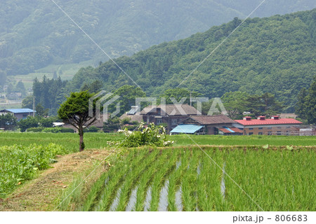 遠野散歩・田園 806683