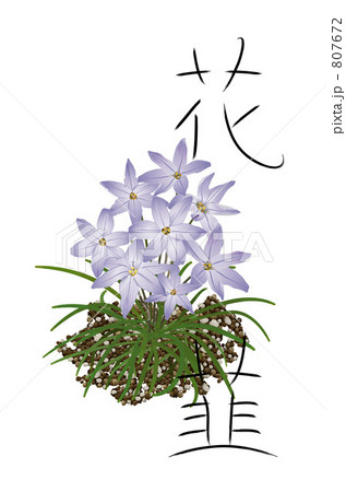 花ニラと筆文字 807672