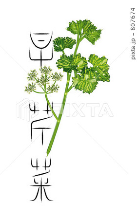 パセリと筆文字 パセリと筆文字 807674