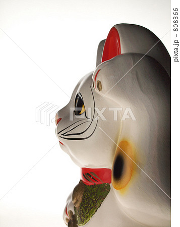 横向き招き猫の写真素材 [808366] - PIXTA