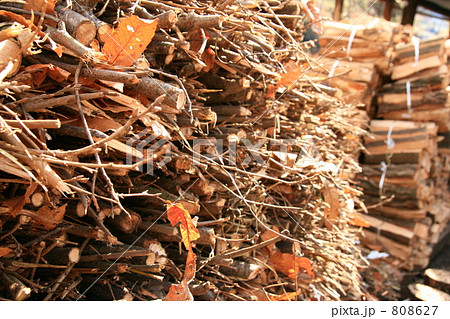 柴の束 柴の束 808627