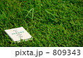 草原の中の本 809343