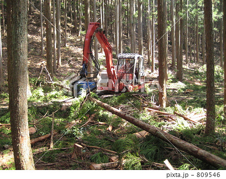 プロセッサーによる集材作業 プロセッサーによる集材作業 809546