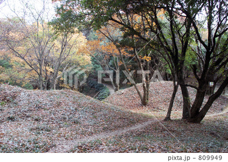 岩橋千塚古墳群の墳丘 809949